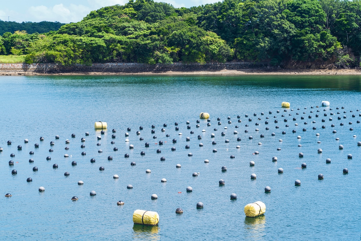 水産業におけるIT化とは？