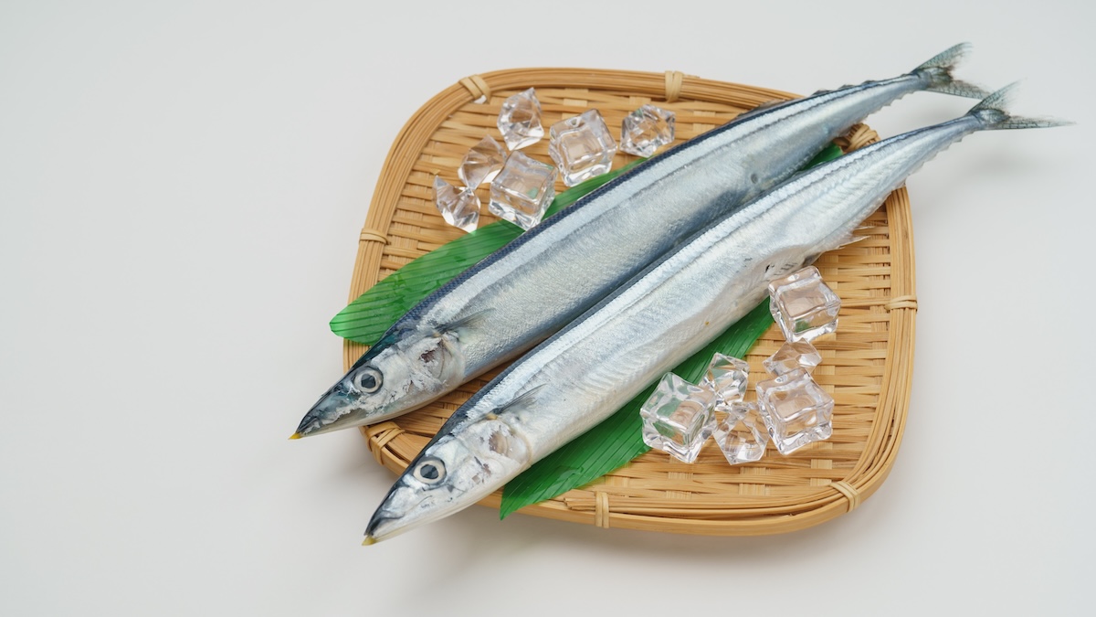 旬の魚を楽しむなら時期にも注目！