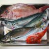 まとめ｜カナガシラは身近で美味しい旬の魚