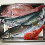 まとめ｜カナガシラは身近で美味しい旬の魚