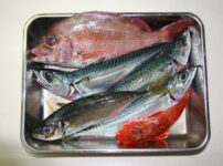まとめ｜カナガシラは身近で美味しい旬の魚