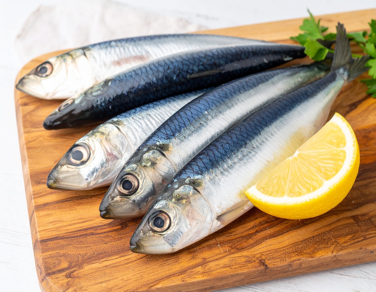 第1位：いわし｜生活習慣病予防に効果バツグン！