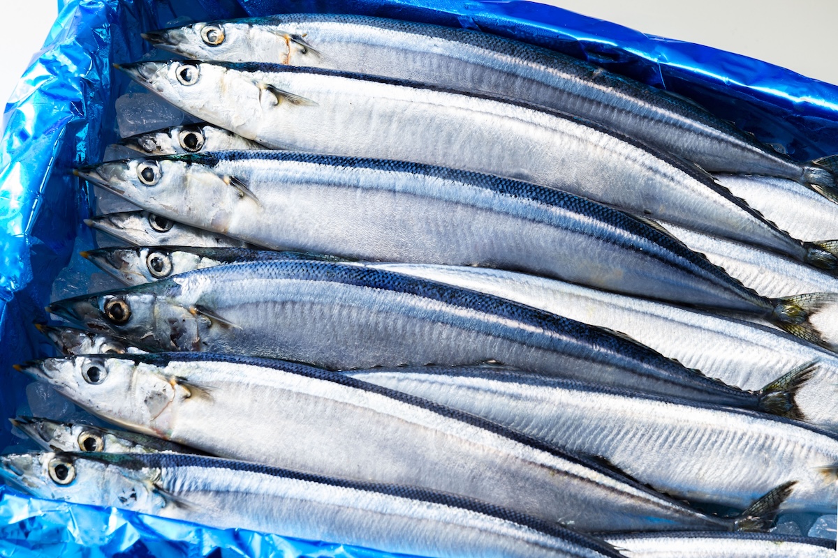 第5位：さんま｜腸内環境＆老化対策にうれしい栄養