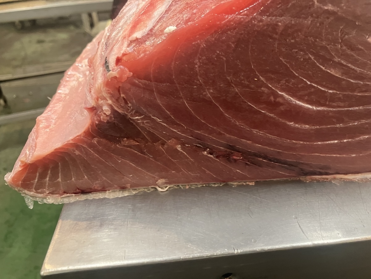 美味しいマグロの選び方