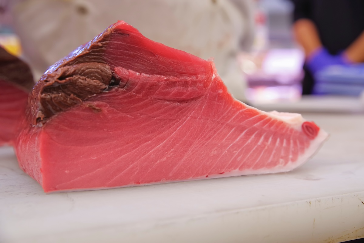 まとめ|マグロは目的別で選べば失敗しない