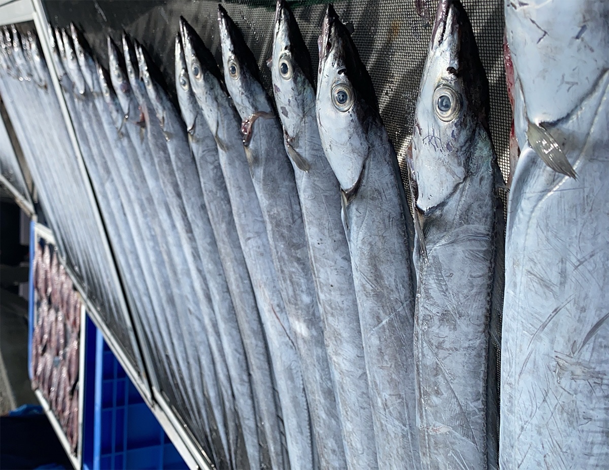 常温保存できる干物の条件
