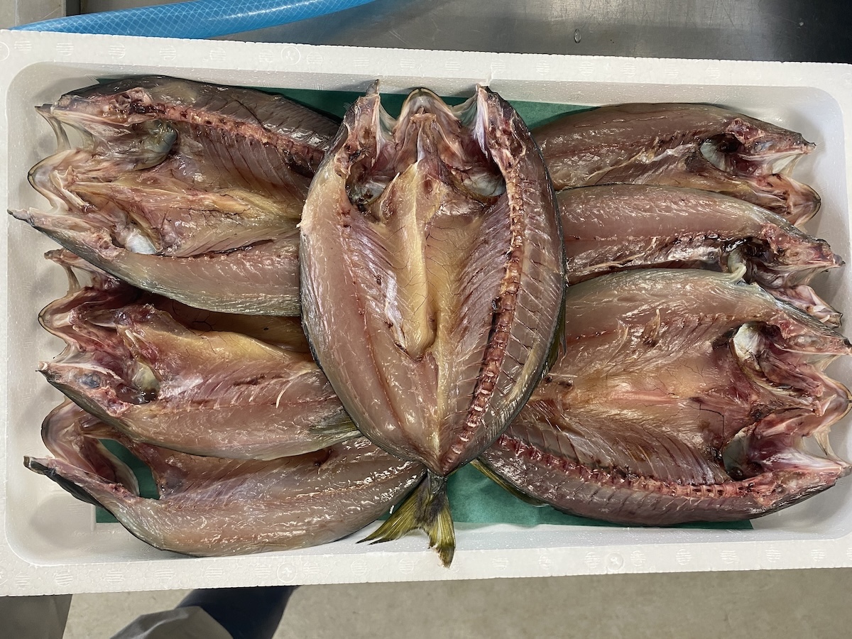 干物はなぜ常温だと危ない?